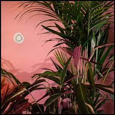 Beaty Heart - Mixed Blessing